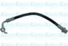 KAVO PARTS BBH-9169 Brake Hose